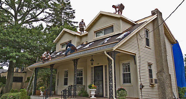 Best Storm Damage Roof Repair  in Broadview, IL